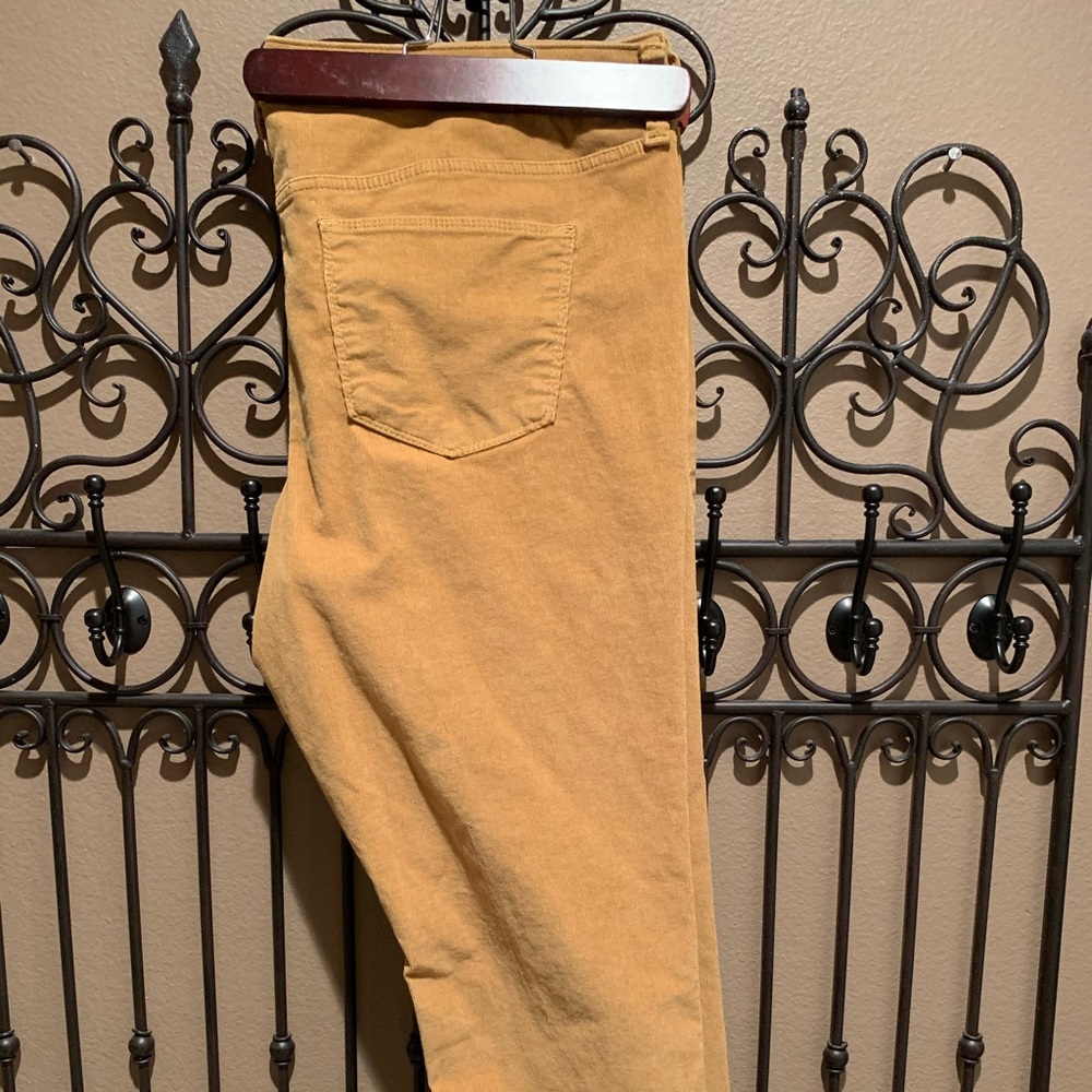 Universal Thread 🧵 Cord Slacks